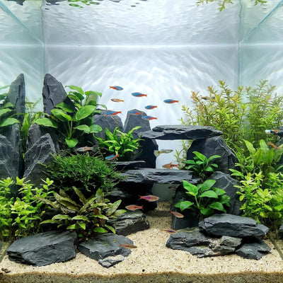 Roca pizarra acuario decoración 3-5pulg 5lb