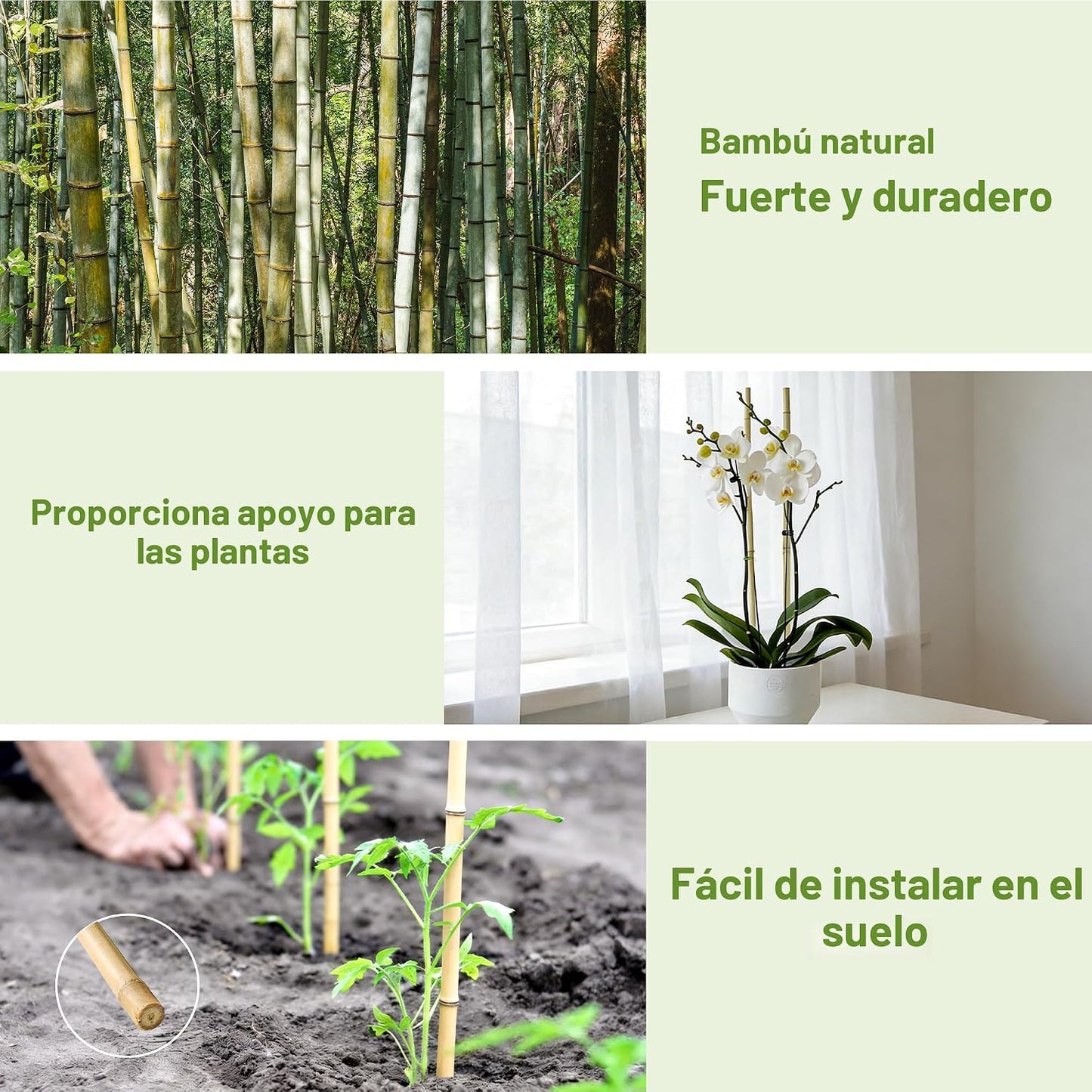 50 Estacas Bambú 16pulg para Tomates y Plantas