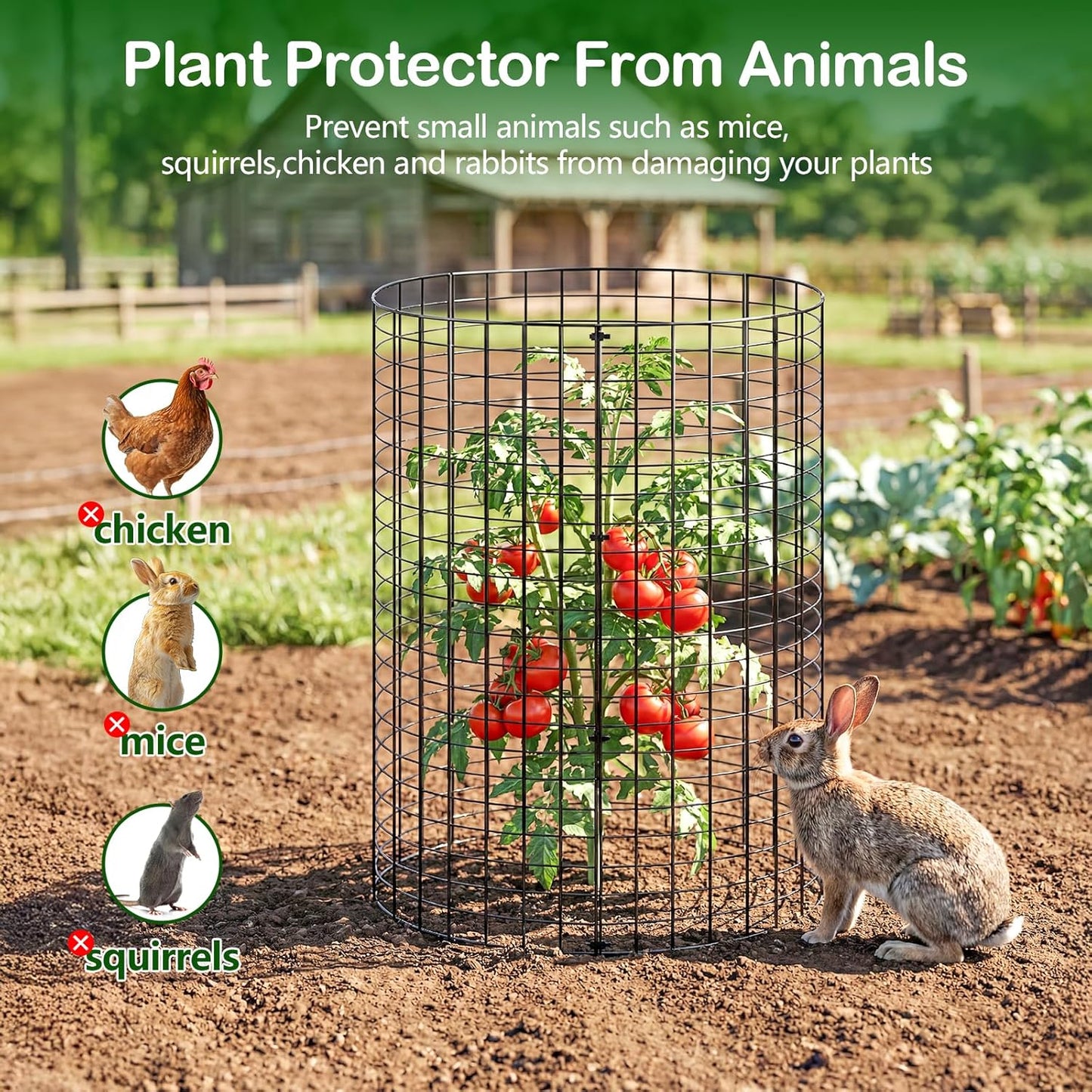 10 Protectores plantas jaulas malla alambre jardín resistentes