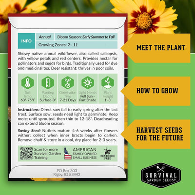Semillas Coreopsis Plains para plantar 1 pack