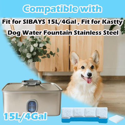 Set 12 filtros repuesto para fuente agua perros comp Kastty 4Gal