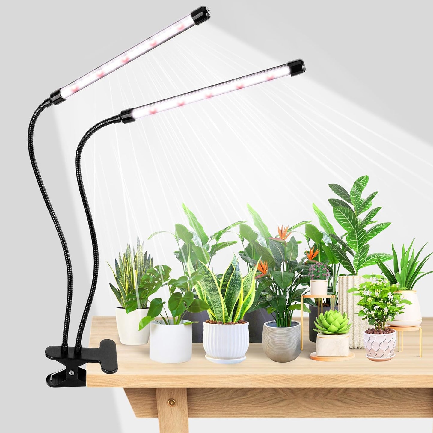 Luz cultivo plantas 6500K 84 LED con clip