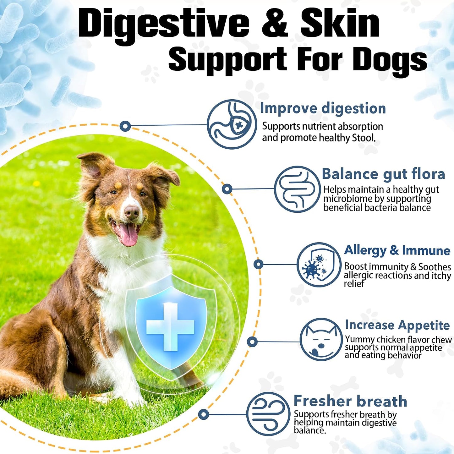 Probióticos para perros salud digestiva con enzimas