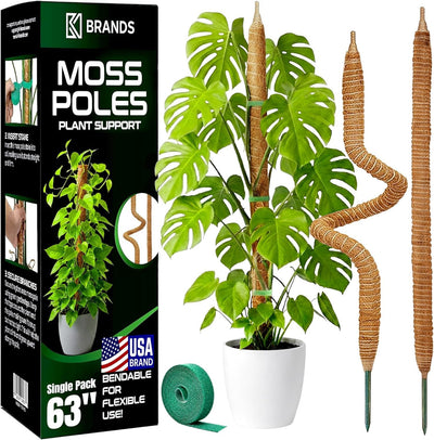 Soporte planta Monstera 63pulg enrejado alto para trepadoras