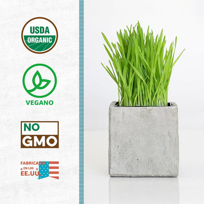 Semillas pasto trigo orgánicas 1lb para gatos