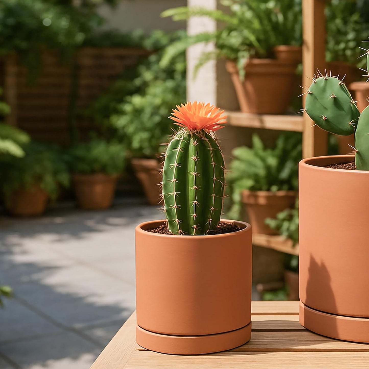 Maceta terracota 5pulg cilíndrica con platillo drenaje