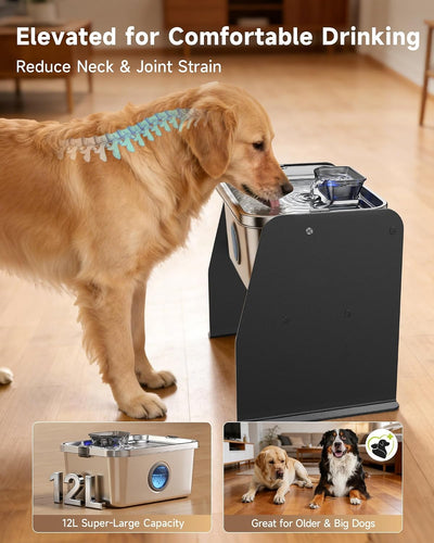 Fuente agua perros 12L acero inox soporte ajustable