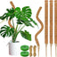 4 Postes Musgo 26.8pulg Soporte Plantas Trepadoras