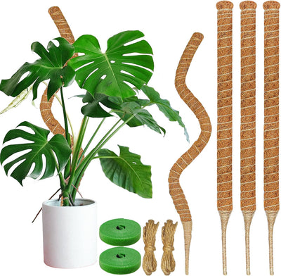 4 Postes Musgo 26.8pulg Soporte Plantas Trepadoras