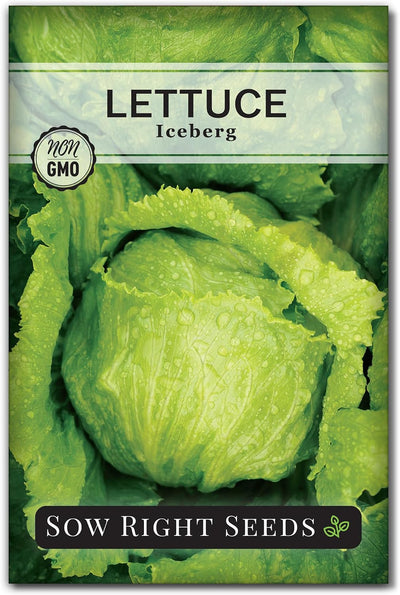 Semillas lechuga iceberg para hidroponía y cultivo verano otoño