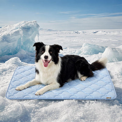 Colchón refrigerado perro grande 41x27 azul