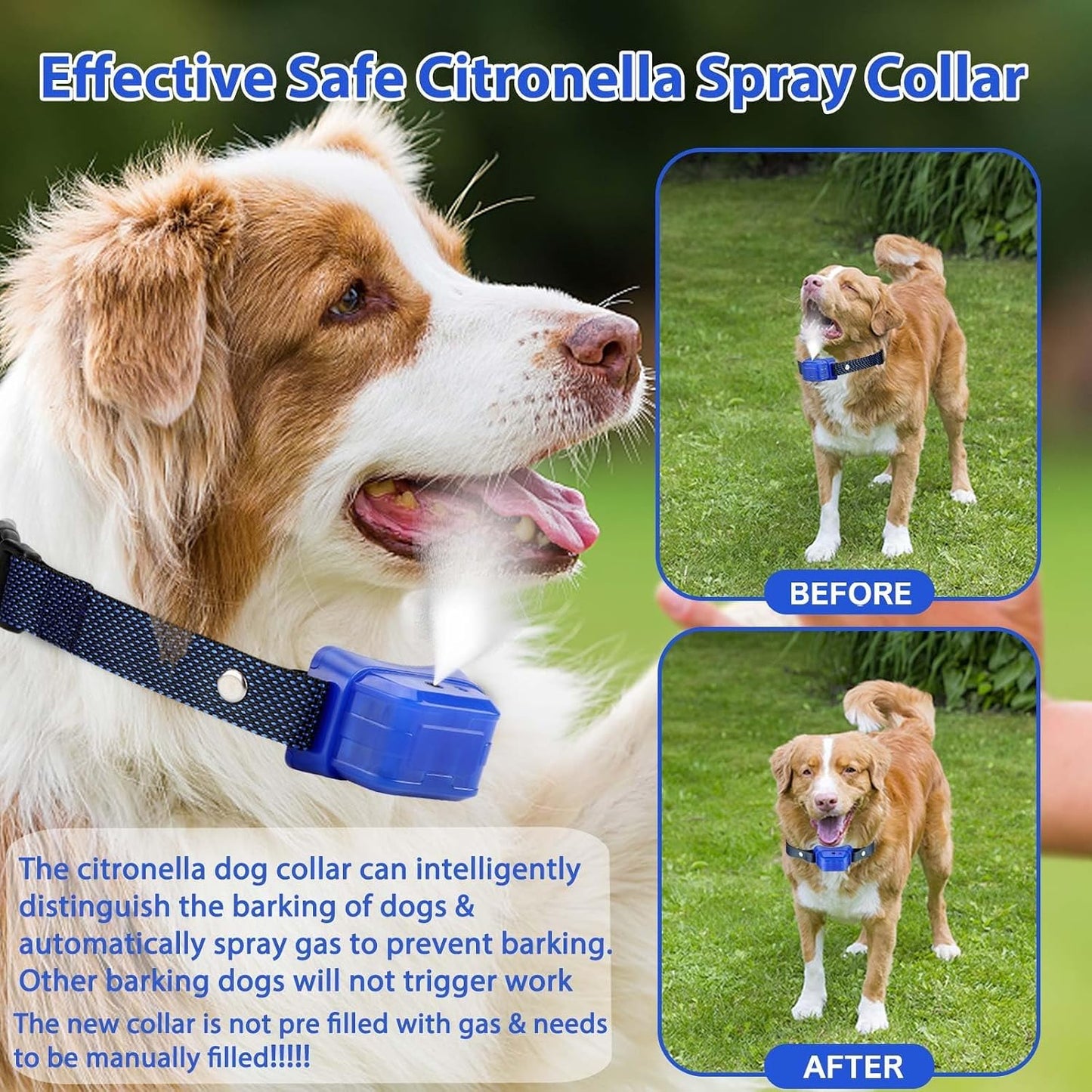 Collar citronela para perros sin aerosol entrenamiento