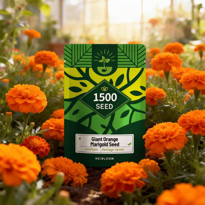 Semillas caléndula naranja para jardín balcones ventanas