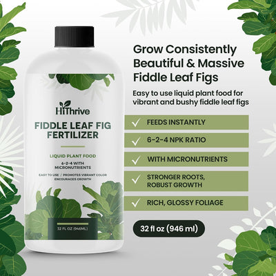 Fertilizante liquido para plantas Ficus 6-2-4 32oz