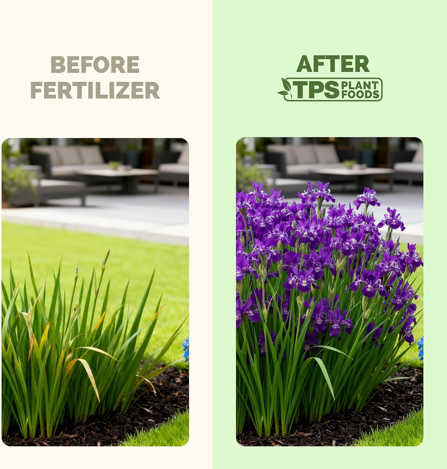 Fertilizante líquido para bulbos de iris 8oz