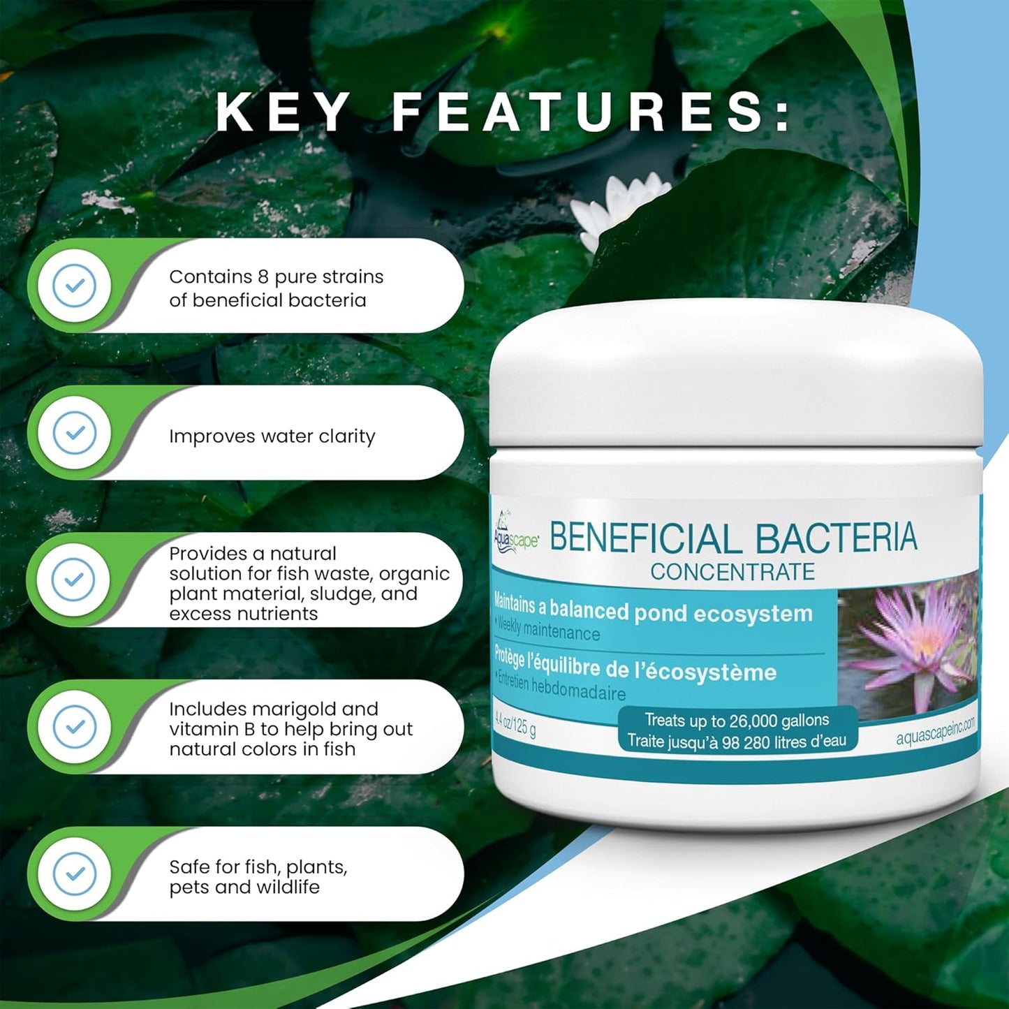 Bacterias secas para estanque y agua blanca