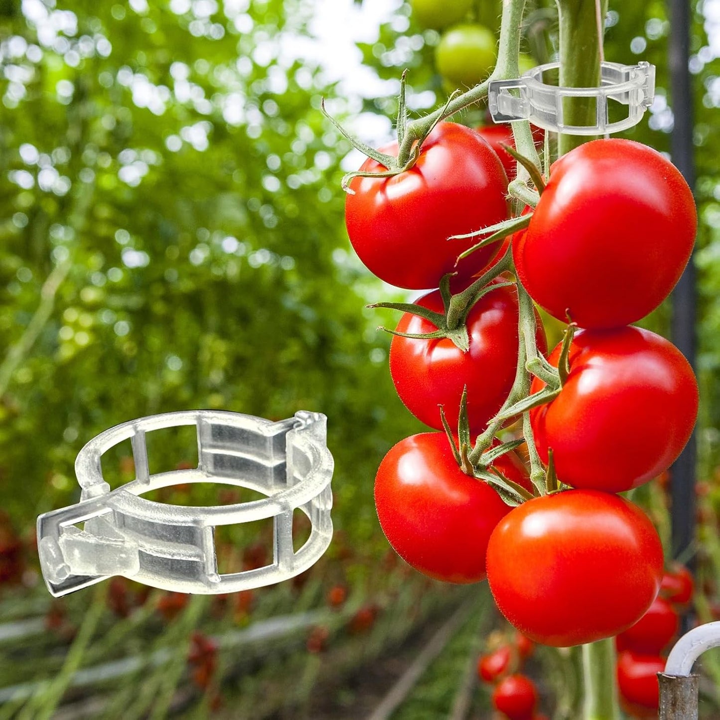 300 Pzas Clips Plástico para Enrejado Vid Tomate Jardín