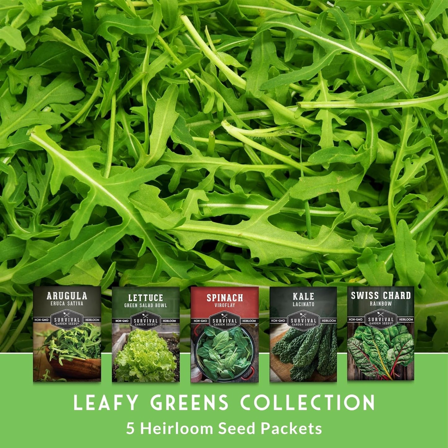 Boveda semillas 5 verduras hoja verde sin OGM