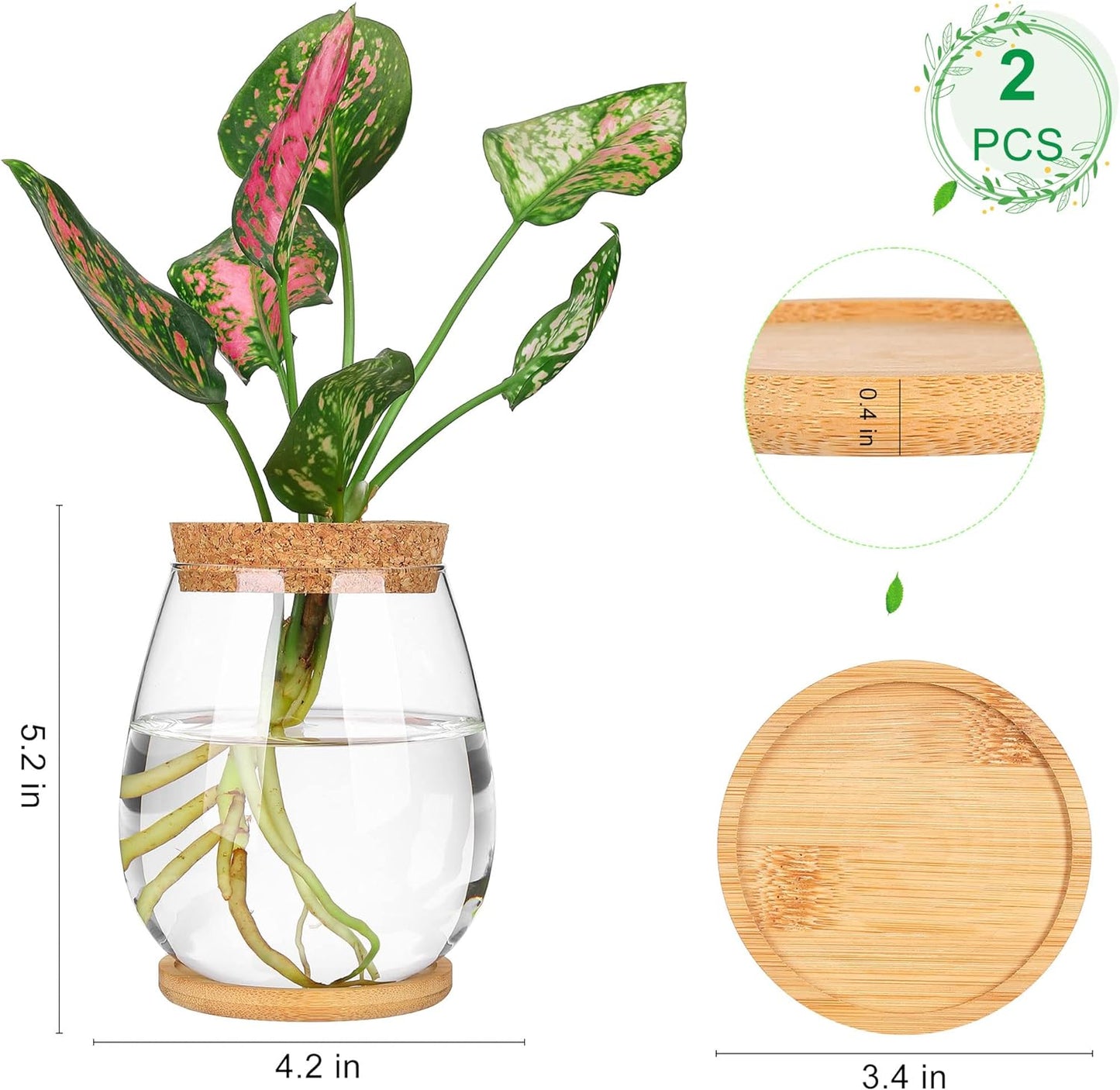 2 Pzas Jarrones Vidrio Hidropónico para Terrario Plantas