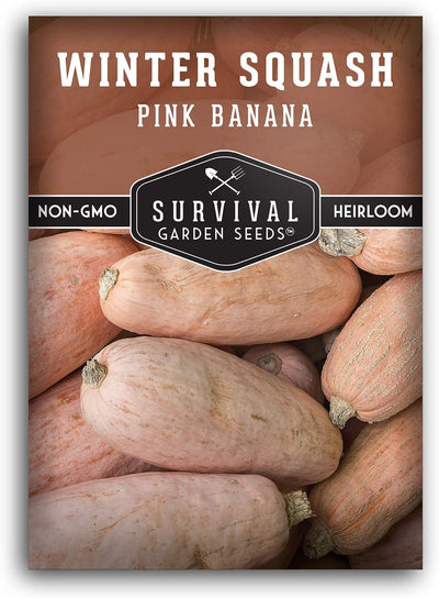 Semilla calabaza invierno plátano rosa con instrucciones