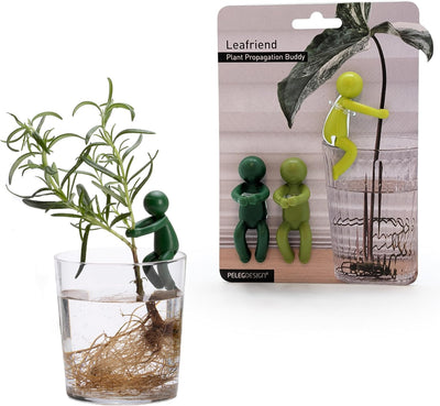 Soportes para propagación de plantas 3 piezas jardín interior