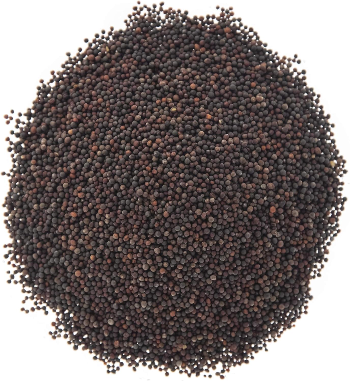 Semillas brócoli germinado Waltham 29 sin OMG bolsa 16oz