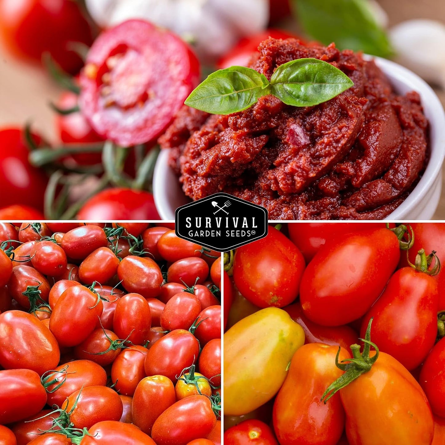 Pasta semillas tomate Roma San Marzano para plantar