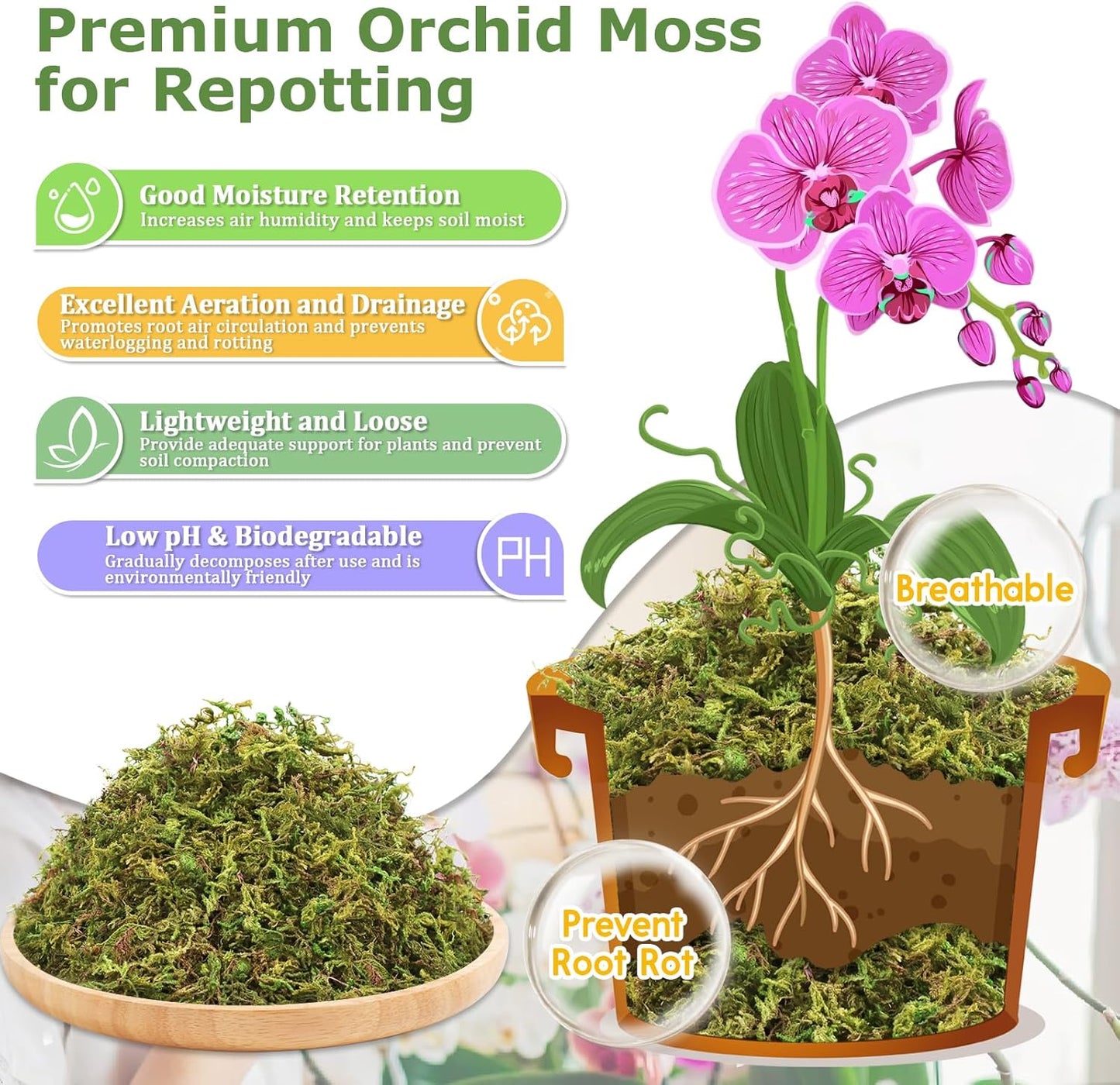 Musgo Sphagnum Verde Natural 2.6lb para Plantas en Maceta