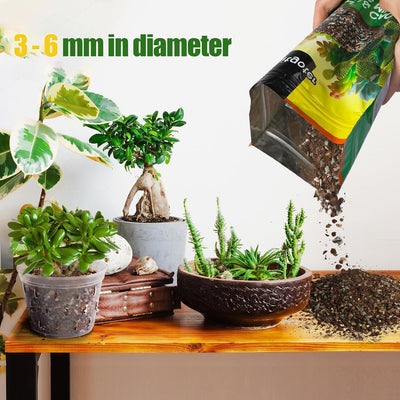 Mezcla tierra para suculentas cactus palmas y citricos 1qt
