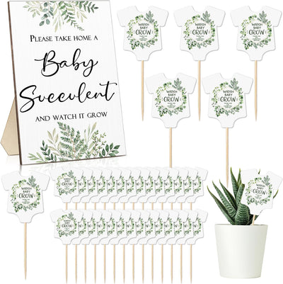 50 Etiquetas Suculentas con Letrero Madera para Baby Shower