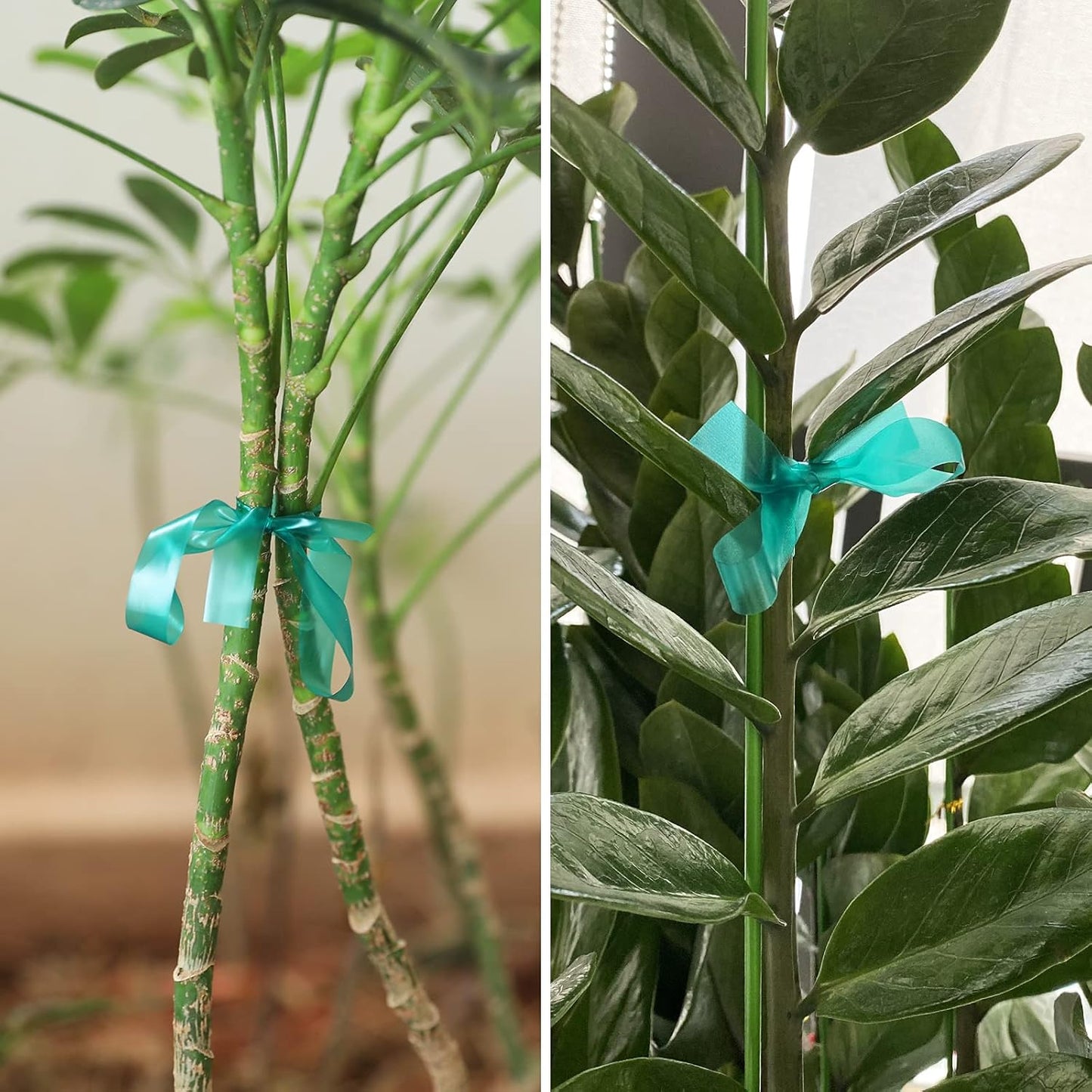 Rollo cinta elástica jardín 300pies 1/2pulg verde