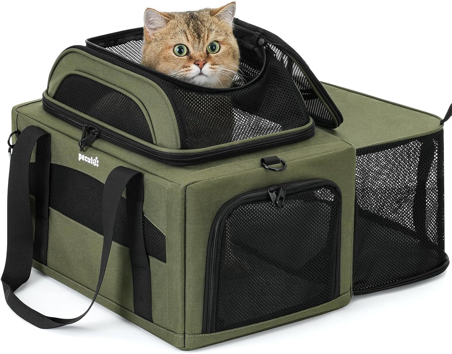 Transportador mascotas expandible transpirable con cremalleras verde