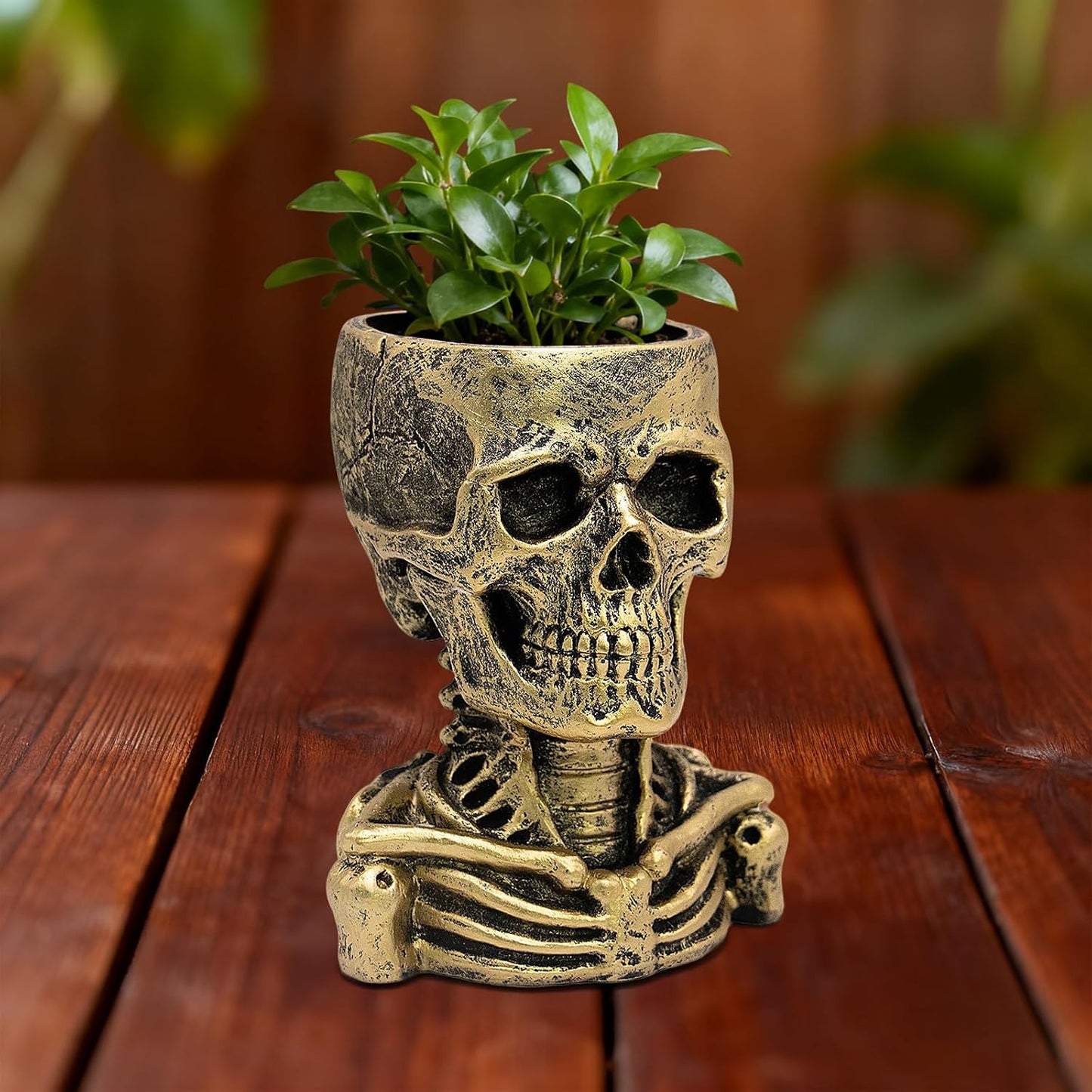 Maceta gótica calavera resina decoración Halloween