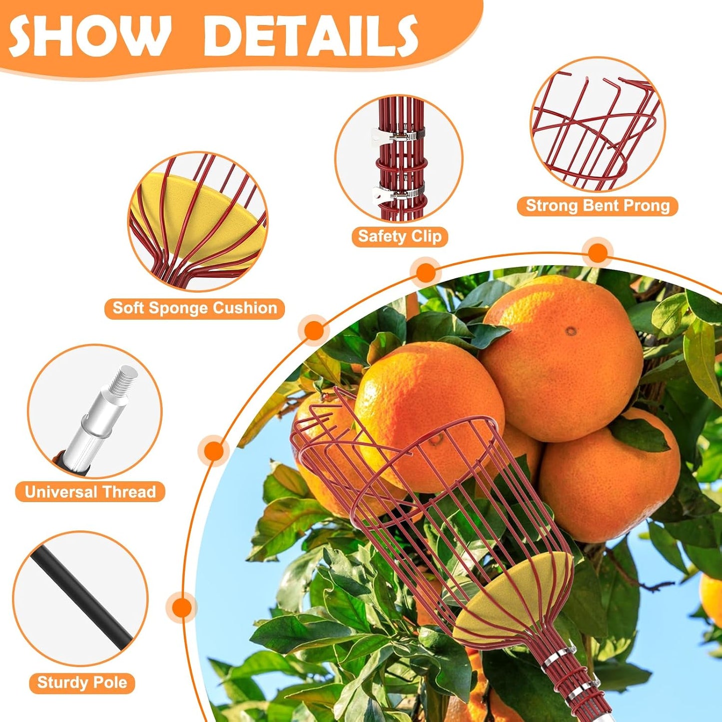 Recogedor frutas 36ft poste cesta telescópica