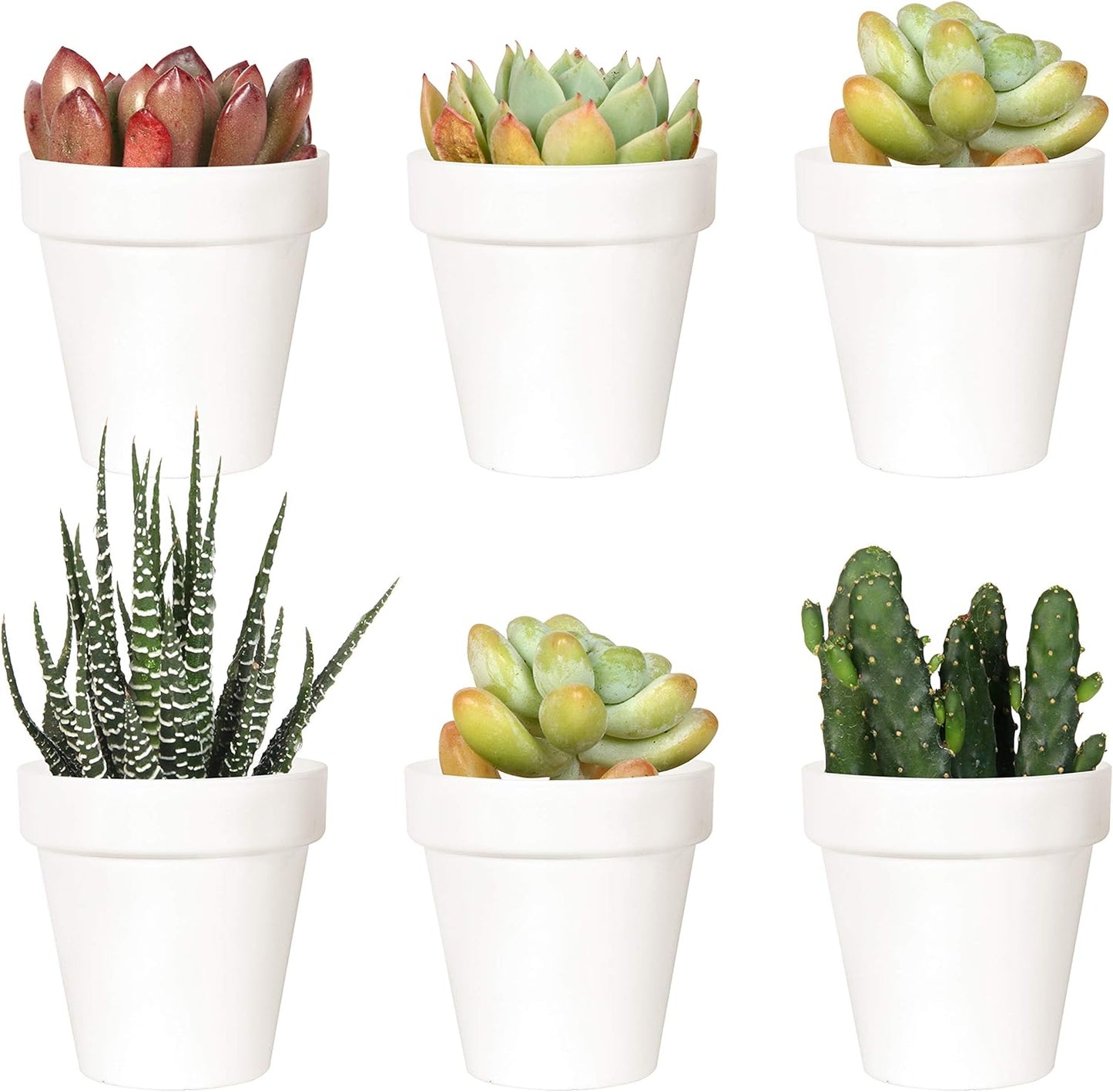10 Macetas Plástico 3pulg Interiores con Drenaje