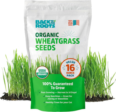 Semillas pasto trigo orgánicas 1lb para gatos