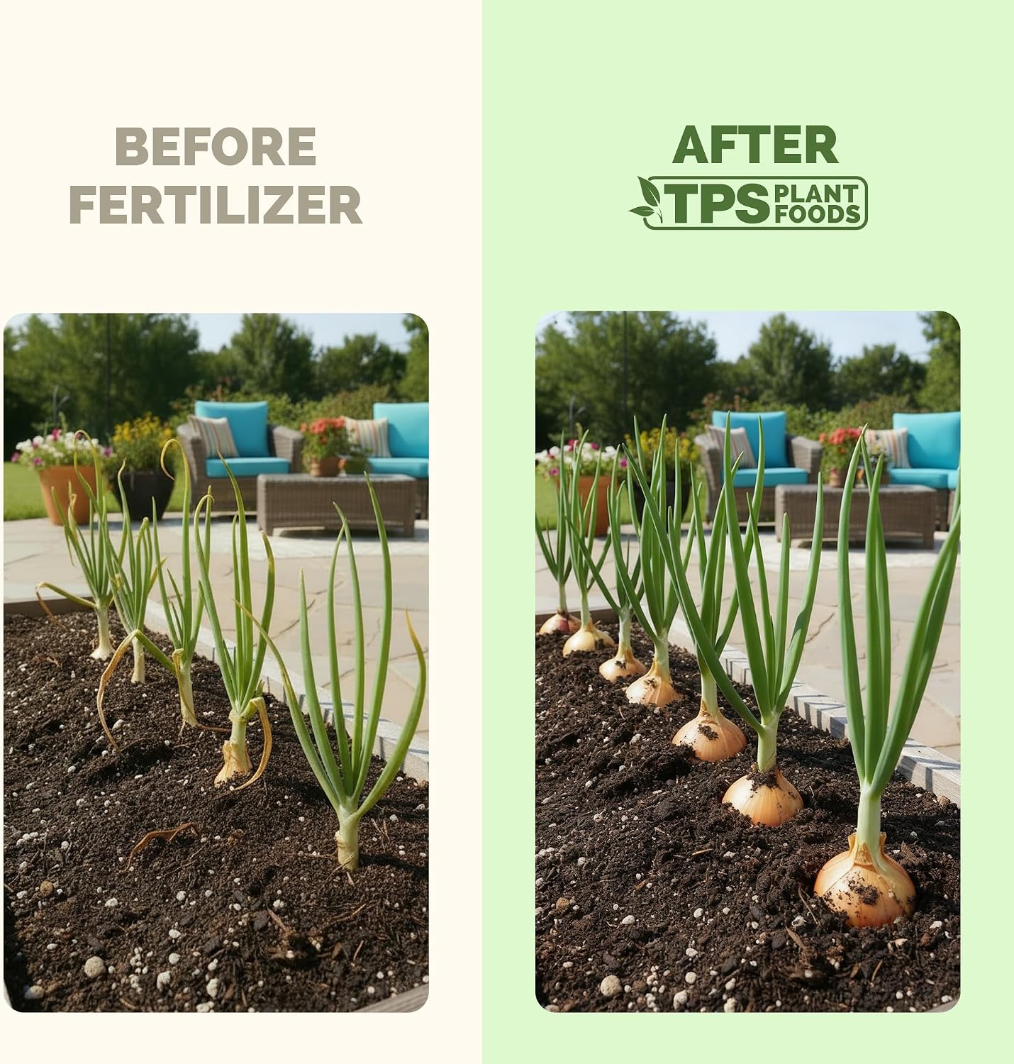 Fertilizante líquido para cebolla bulbos 8oz