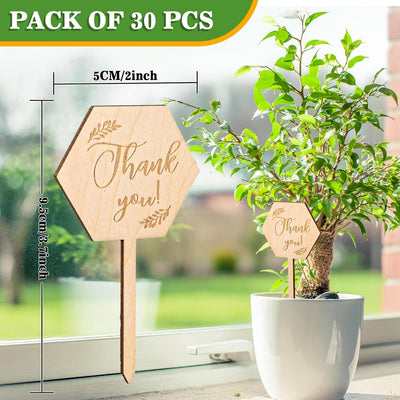 30 Etiquetas Hexagonales para Plantas Baby Shower Regalo Maceta