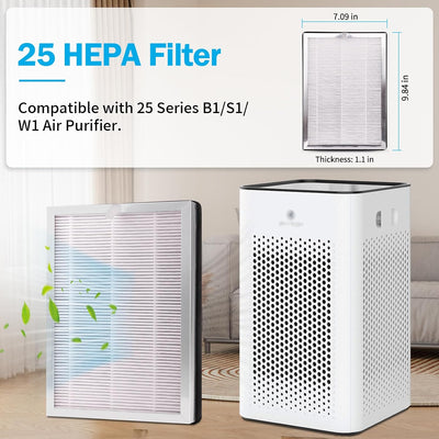 Filtro repuesto MA-25 comp 3en1 H13 HEPA y carbón paq 2
