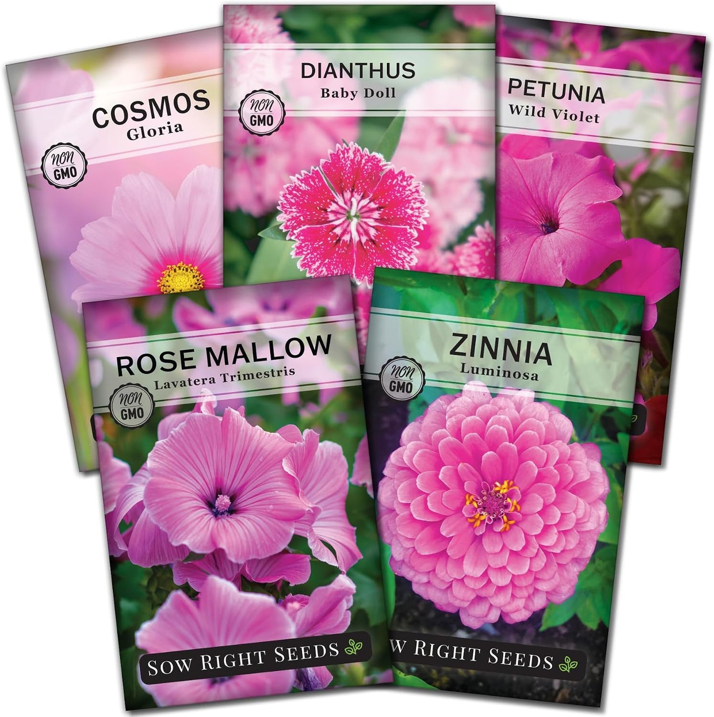 Semillas flores rosas para plantar variedades raras