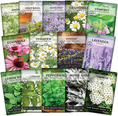 Colección semillas hierbas medicinales sin transgénicos
