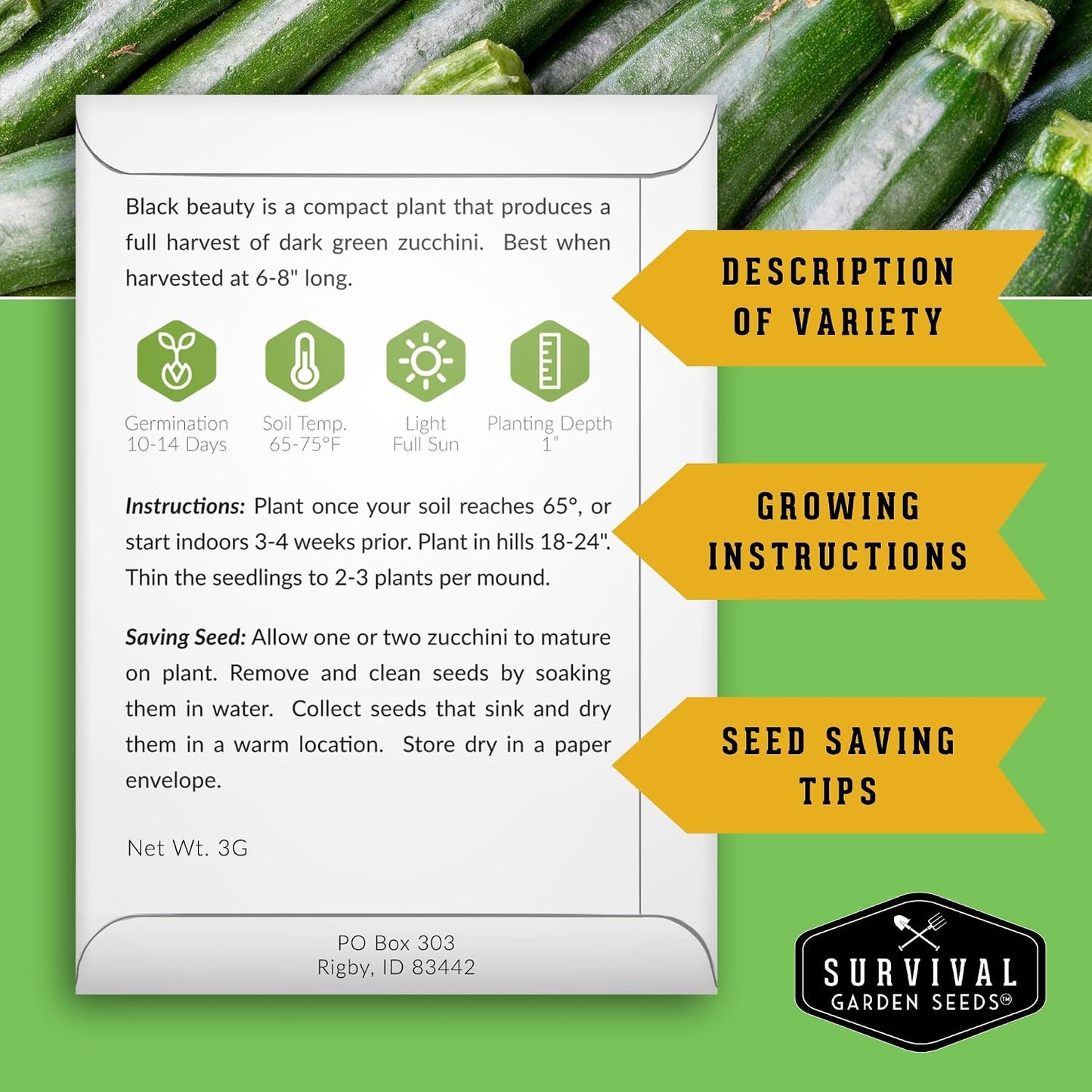Semilla calabacín Black Beauty paquete con instrucciones