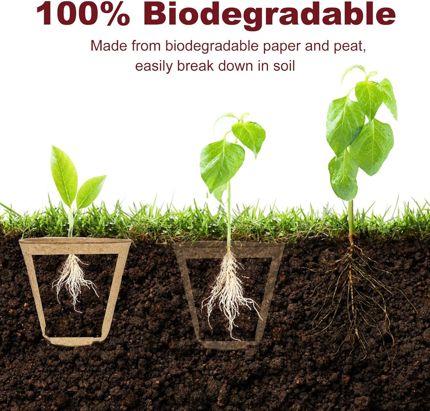 Macetas Turba Biodegradable 3.15pulg con Agujeros Drenaje