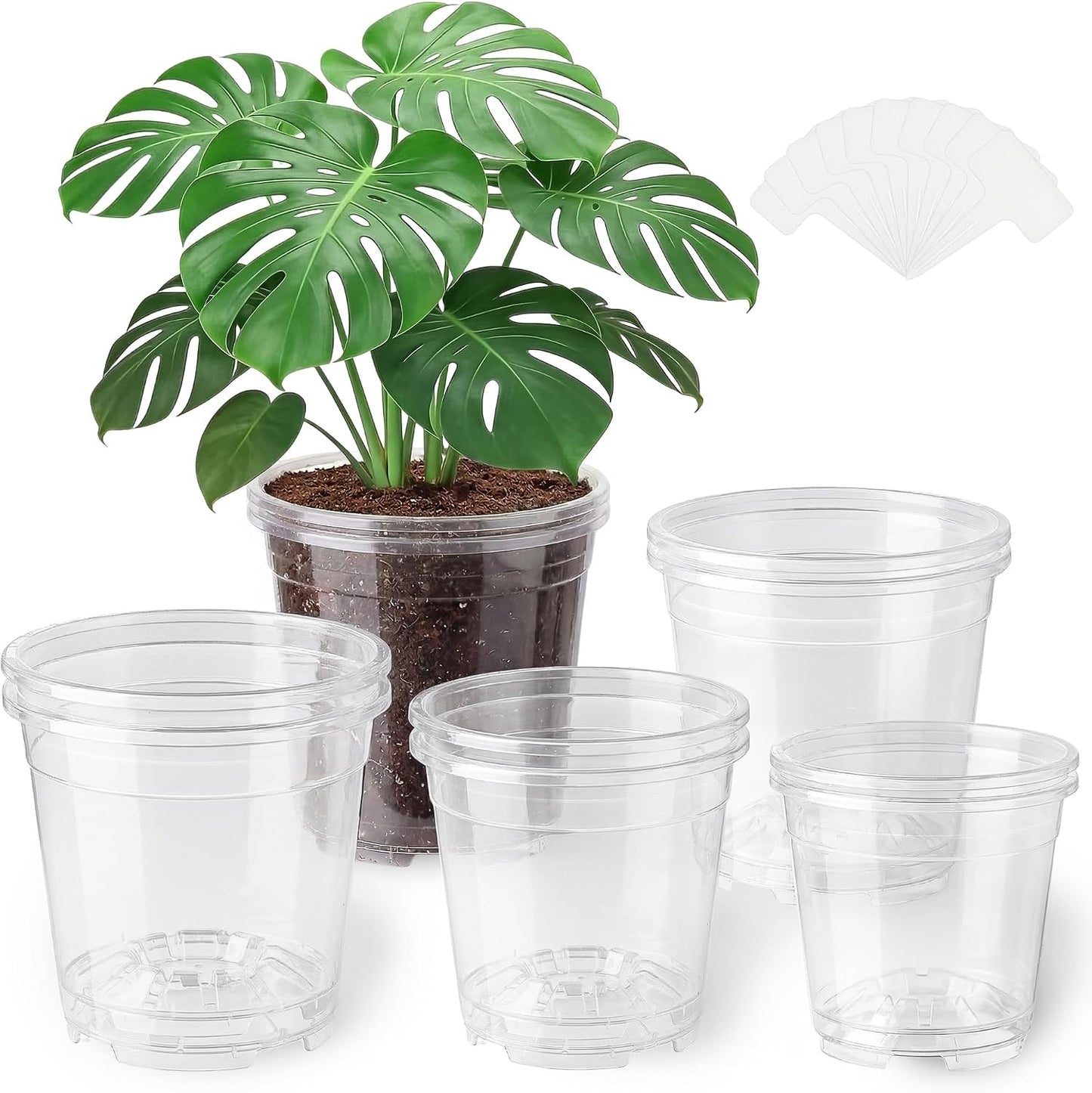 8 Macetas Plástico Transparente 5-7.5pulg Con Drenaje