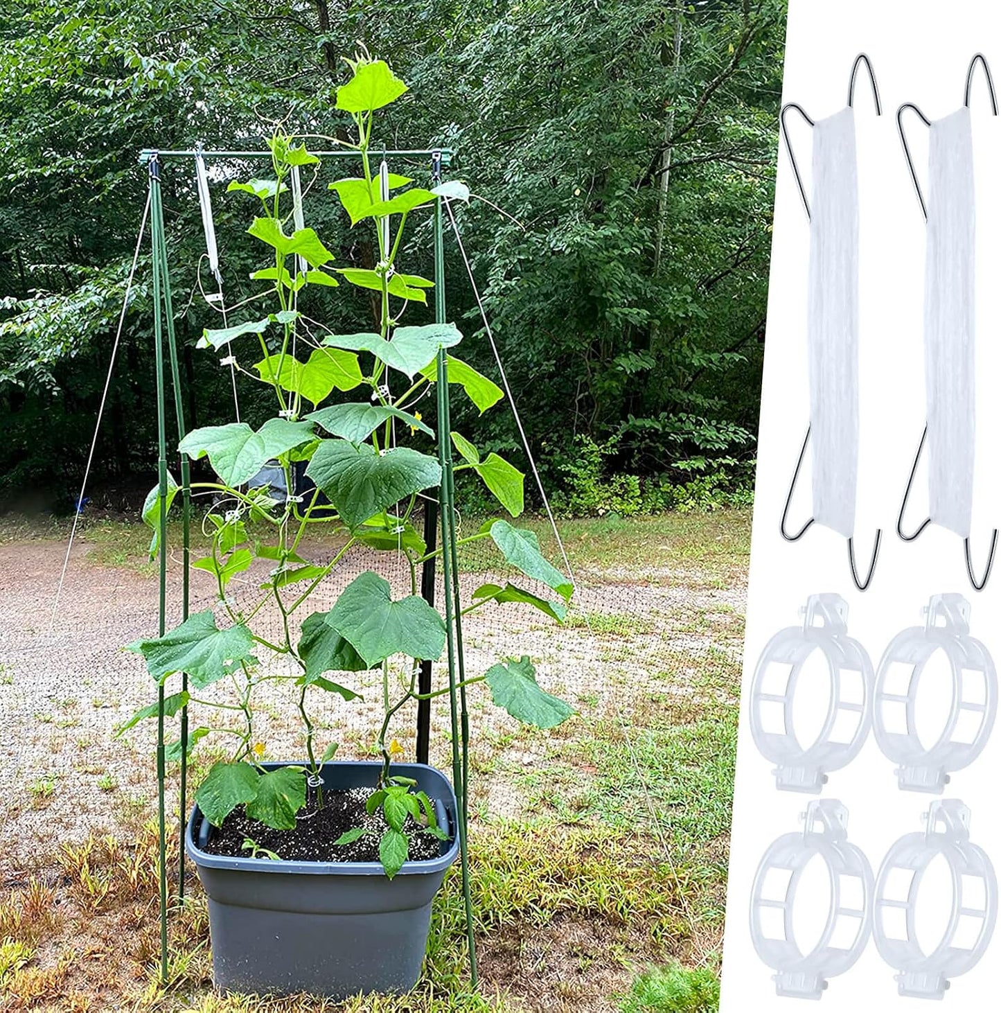 60 Ganchos Tomate con Cuerda 33.3pies para Soporte Plantas
