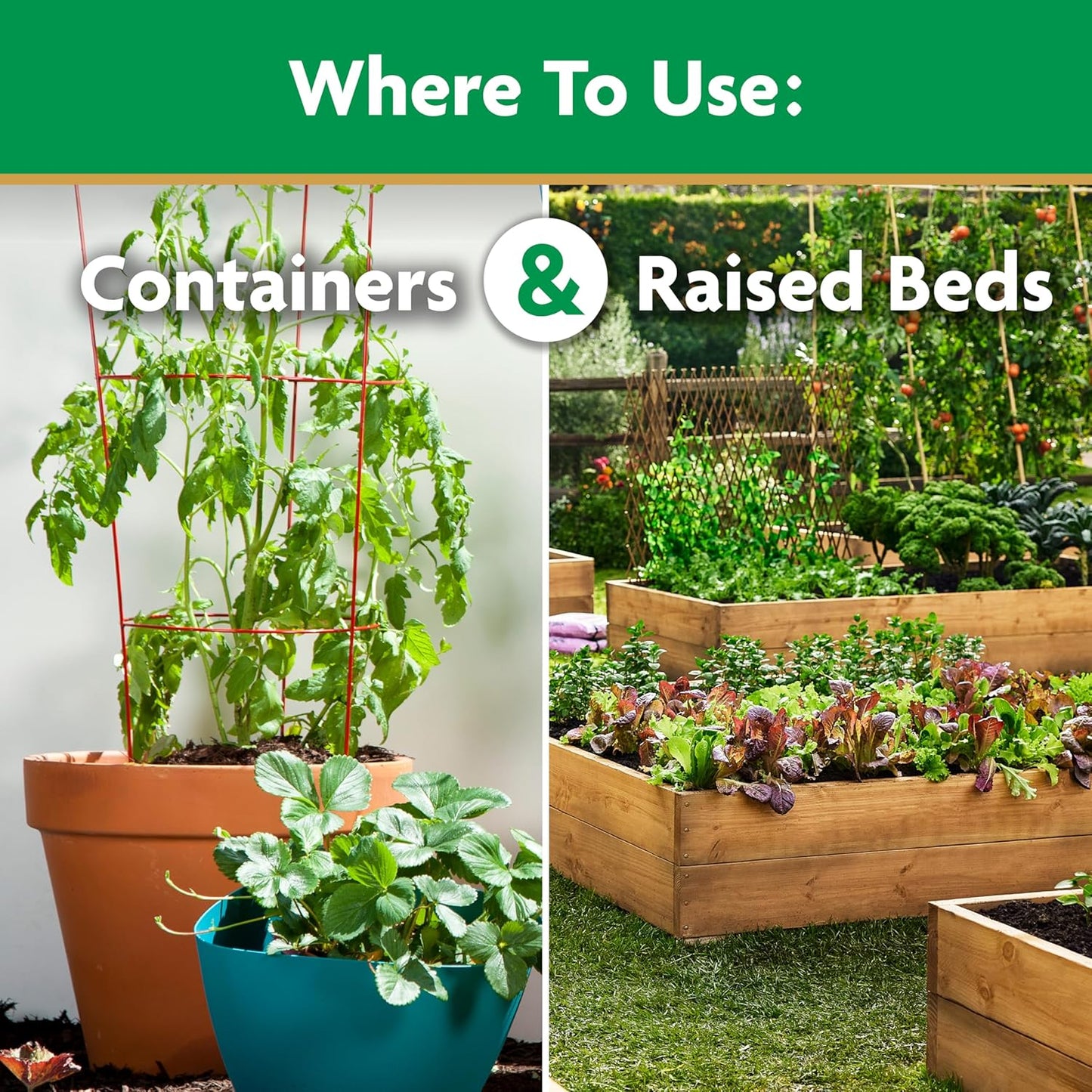 Fertilizante para tomates soluble en agua
