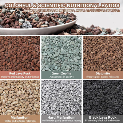 Rocas lava hortícola 3lb para suculentas cactus 3/8pulg