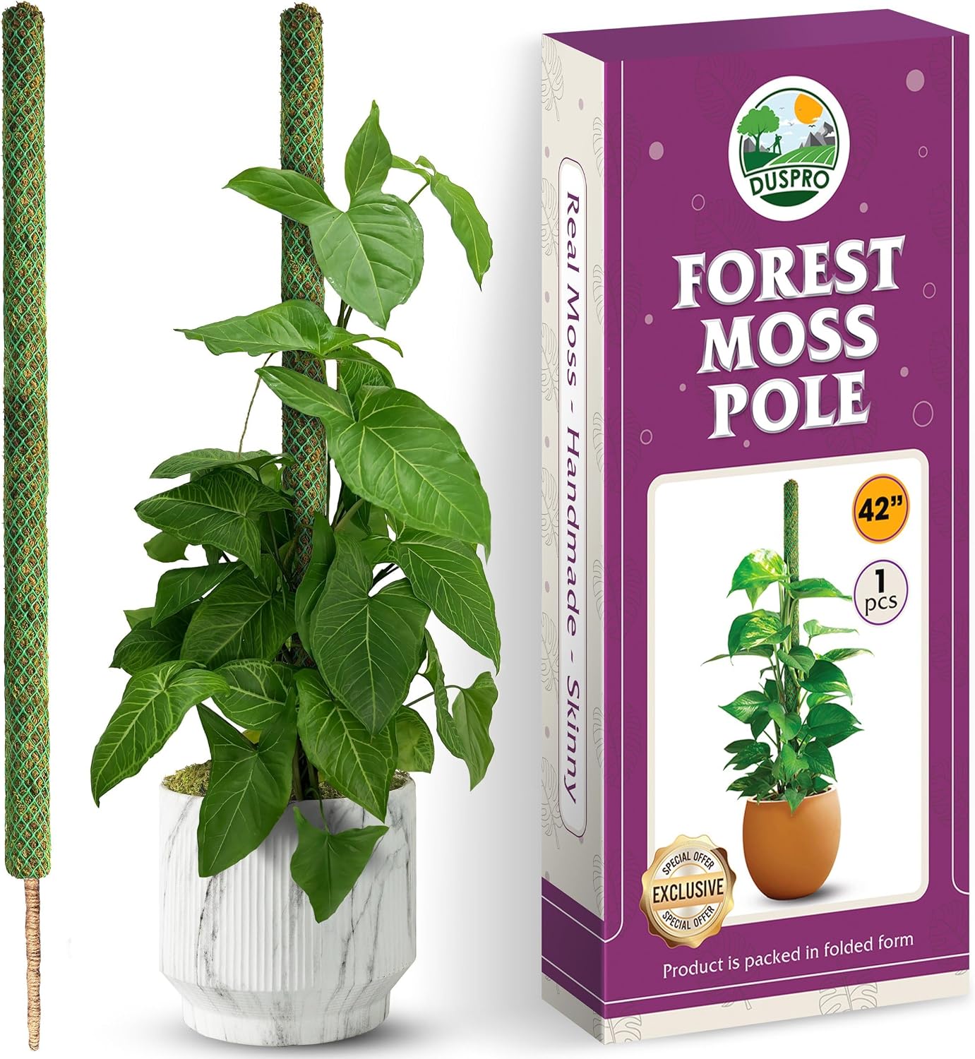 Poste musgo natural para plantas trepadoras 42pulg