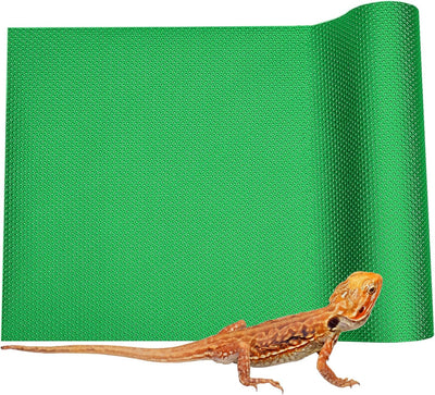 Forro terrario dragón barbudo 120gal 4x2x2 verde