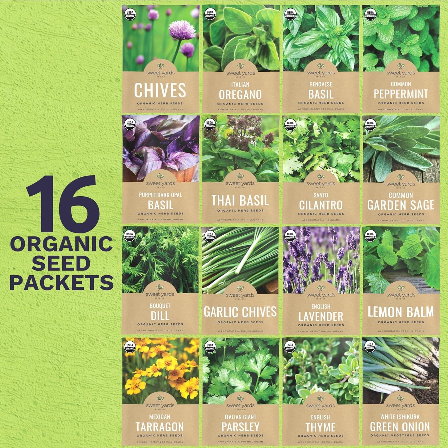 Pack 16 semillas hierbas orgánicas albahaca cilantro tomillo